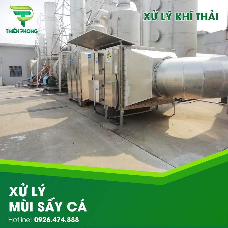 xu ly mui say ca